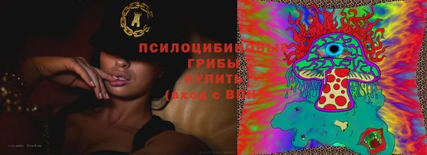 мет Няндома