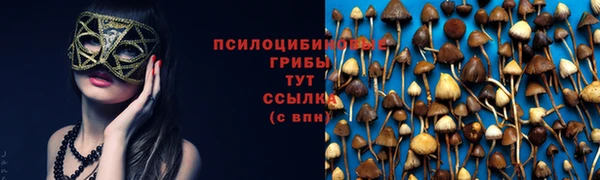 соль курить ск Нязепетровск