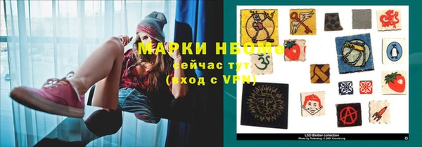 мет Няндома