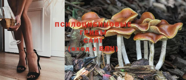 мет Няндома