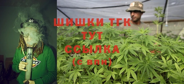 мет Няндома