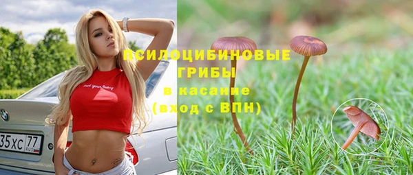 соль курить ск Нязепетровск