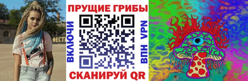 Купить  Качканар  Псилоцибиновые грибы Cubensis 